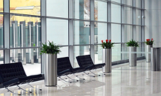 Інвестиції за кордон, захист активів